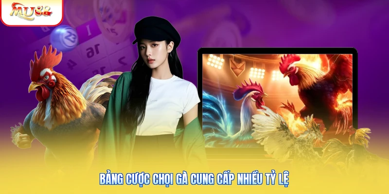 Bảng cược chọi gà cung cấp nhiều tỷ lệ