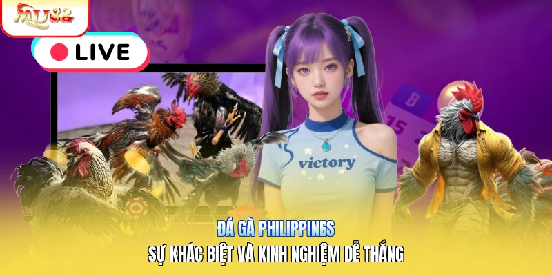 Đá Gà Philippines | Sự Khác Biệt Và Kinh Nghiệm Dễ Thắng Đá Gà Philippines | Sự Khác Biệt Và Kinh Nghiệm Dễ Thắng