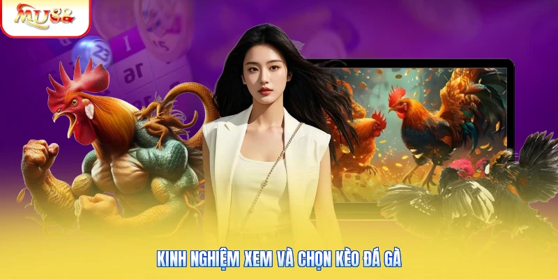Đá Gà Philippines | Sự Khác Biệt Và Kinh Nghiệm Dễ Thắng Kinh nghiệm xem và chọn kèo đá gà