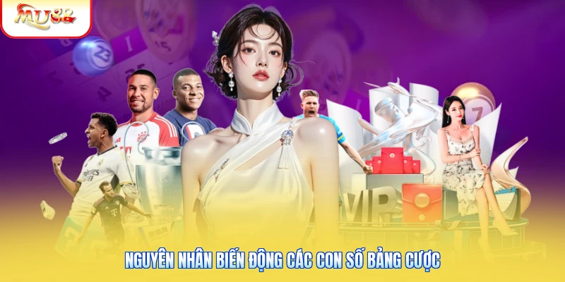 Nguyên nhân biến động các con số bảng cược